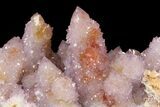 Cactus Quartz (Amethyst) Crystal Cluster - South Africa #94327-4